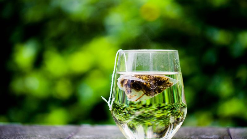 Introduction To The Green Tea Weight Loss Reviews