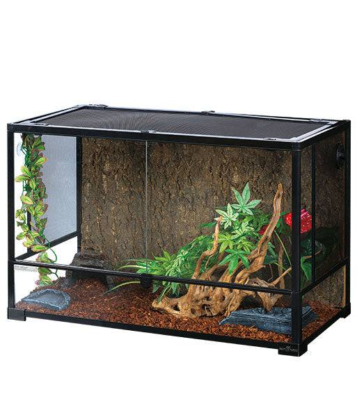 Everything Your Reptiles Need For a Comfortable Living Space