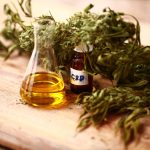 CBD Oil