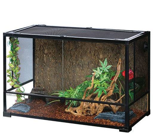 Everything Your Reptiles Need For a Comfortable Living Space