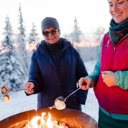 Adventures Await: Discover Alaska’s Day Tour Delights with Salmon Berry