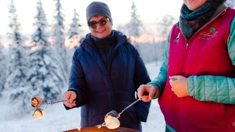 Adventures Await: Discover Alaska’s Day Tour Delights with Salmon Berry