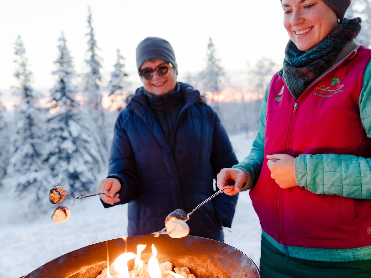 Adventures Await: Discover Alaska’s Day Tour Delights with Salmon Berry